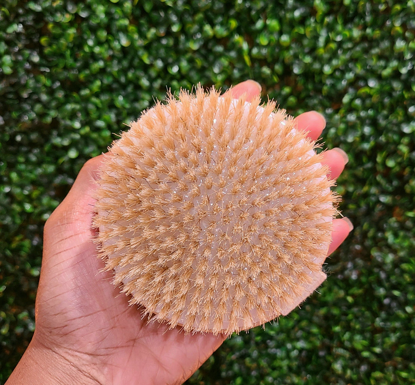 Ecopro Dry Brush