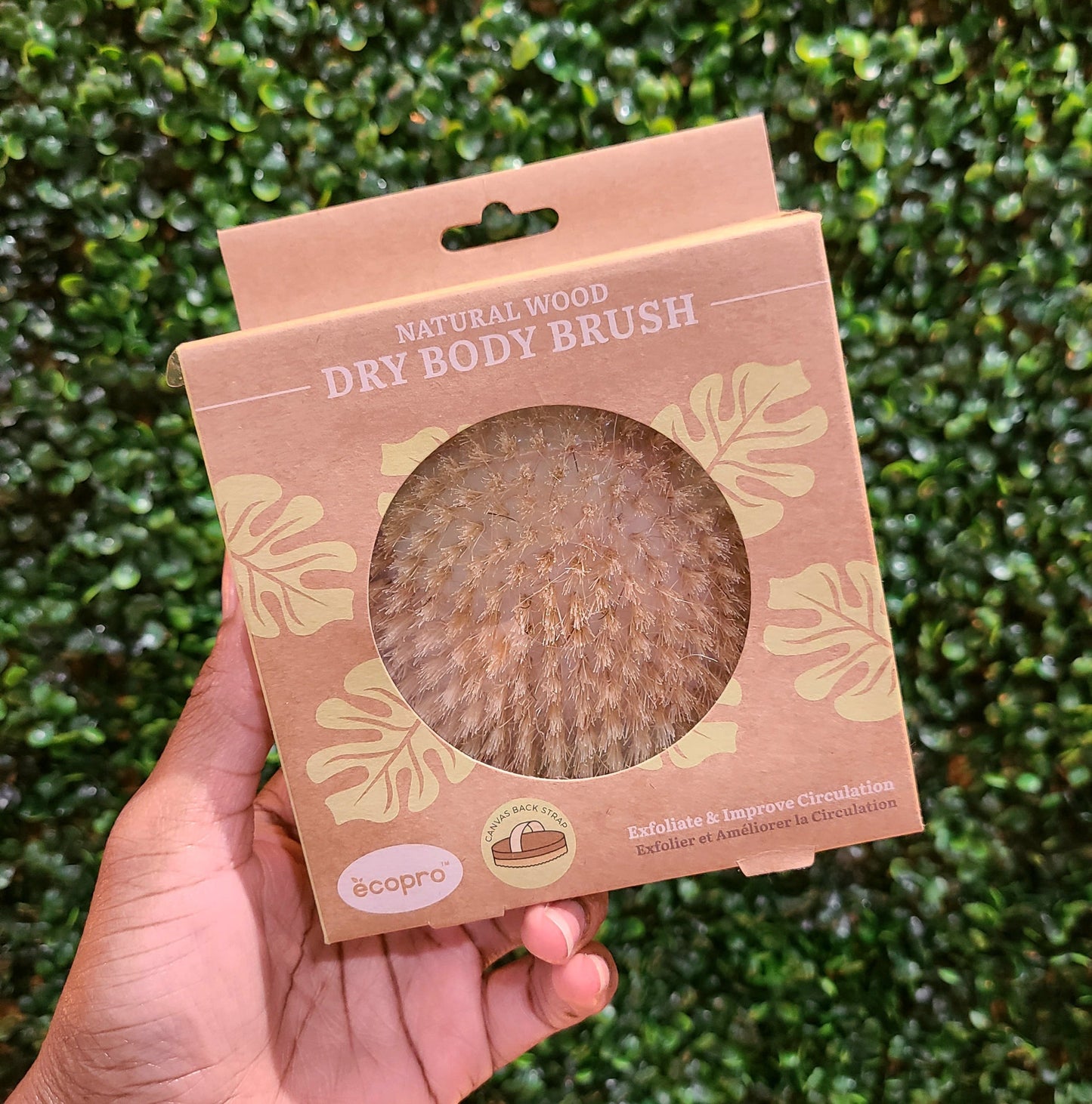 Ecopro Dry Brush