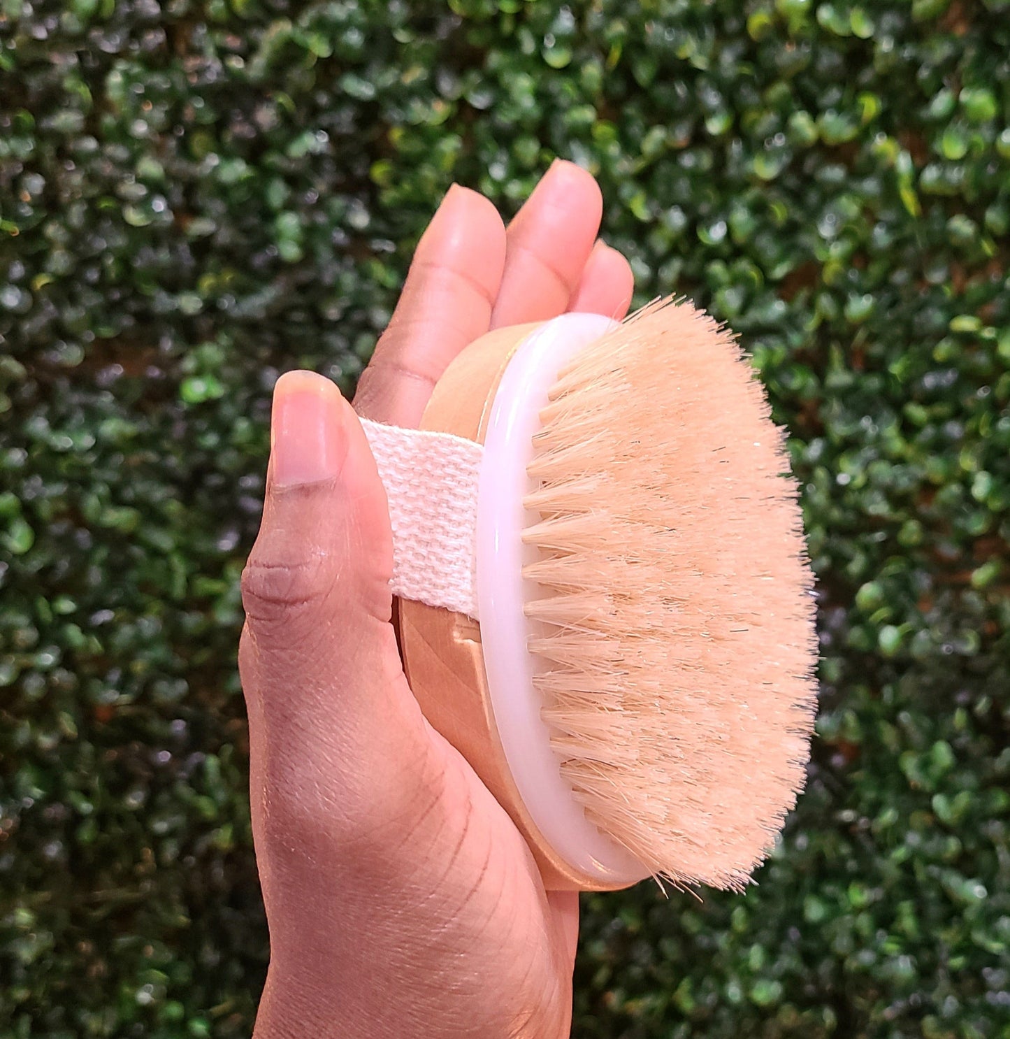 Ecopro Dry Brush